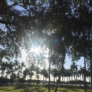 Meet your Posher, Alexa